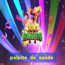 palpite do xande para hoje