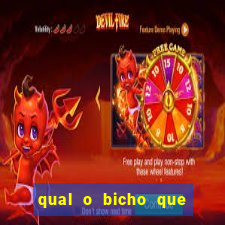 qual o bicho que vai dar hoje