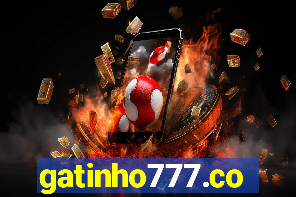 gatinho777.co