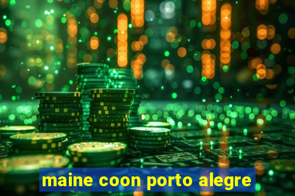 maine coon porto alegre