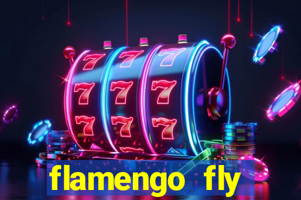 flamengo fly emirates ultimas noticias