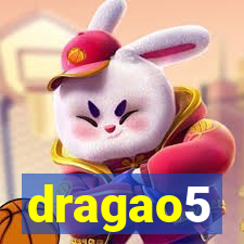 dragao5