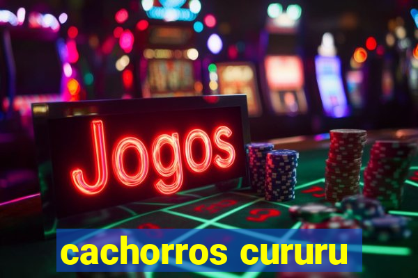 cachorros cururu