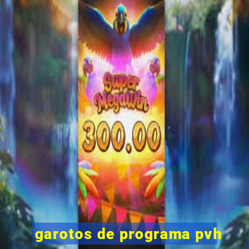 garotos de programa pvh