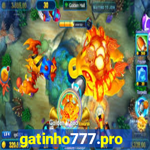 gatinho777.pro